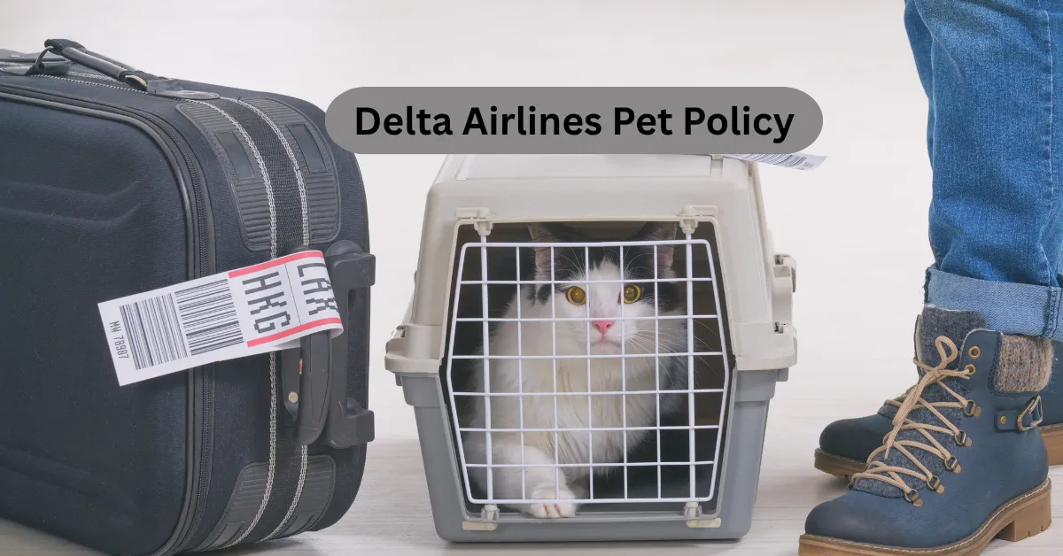 Delta Airlines Pet Policy guide for cabin pet travel and fees
