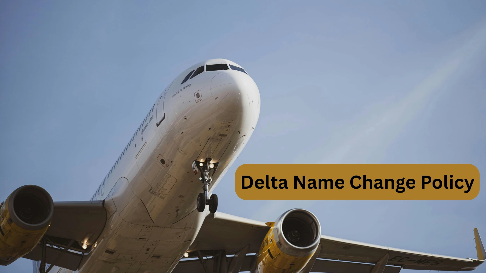 Delta Name Change Policy